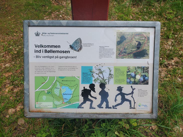 Bøllemosen, Jægersborg Hegn, Skodsborg, Denmark, July 24, 2025