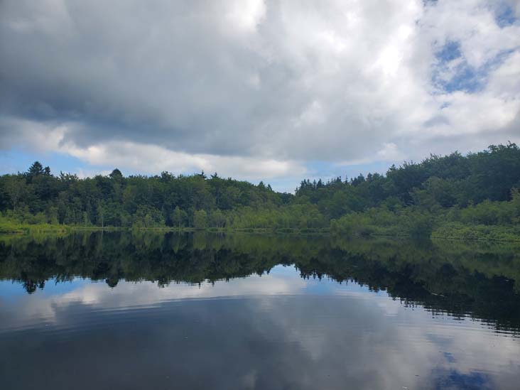 Bøllemosen, Jægersborg Hegn, Skodsborg, Denmark, July 24, 2025