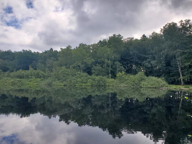 Bøllemosen, Jægersborg Hegn, Skodsborg, Denmark, July 24, 2025