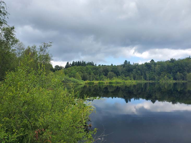 Bøllemosen, Jægersborg Hegn, Skodsborg, Denmark, July 24, 2025