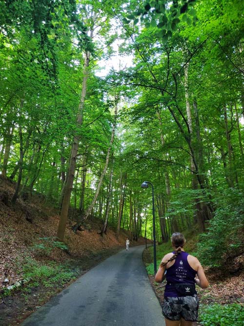 Grisestien Trail, Vedbæk, Denmark, July 24, 2025