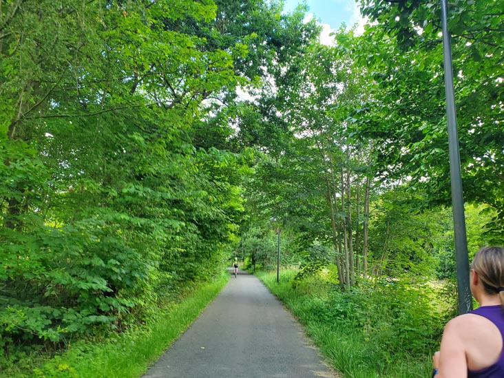 Grisestien Trail, Vedbæk, Denmark, July 24, 2025