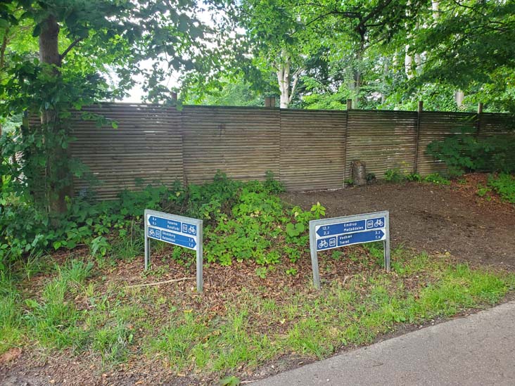 Grisestien Trail, Vedbæk, Denmark, July 24, 2025