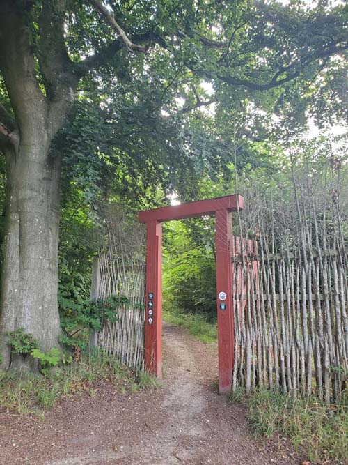 Grisestien Trail, Vedbæk, Denmark, July 24, 2025