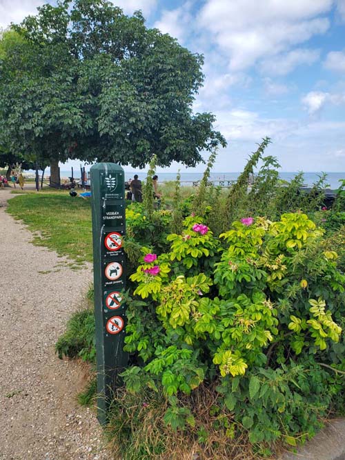 Vedb&aelig;k Strand, Vedb&aelig;k, Denmark, July 26, 2025