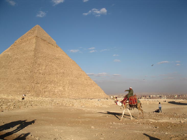 Camel, Pyramid of Khafre, Giza Pyramid Complex, Cairo, Egypt