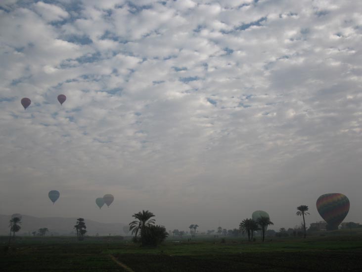 Hot-Air Balloons Near Colossi of Memnon, West Bank, Luxor, Egypt