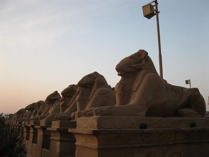 Sphinxes, Temple of Amun, Karnak Temple Complex, Luxor, Egypt