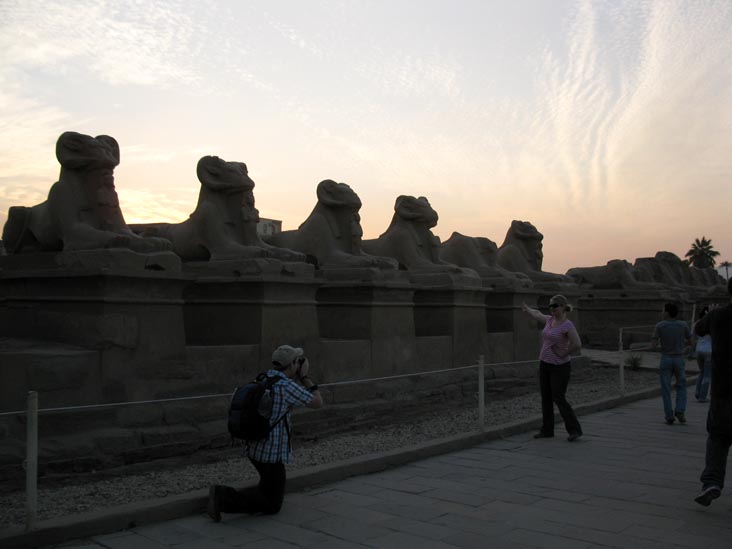 Sphinxes, Temple of Amun, Karnak Temple Complex, Luxor, Egypt