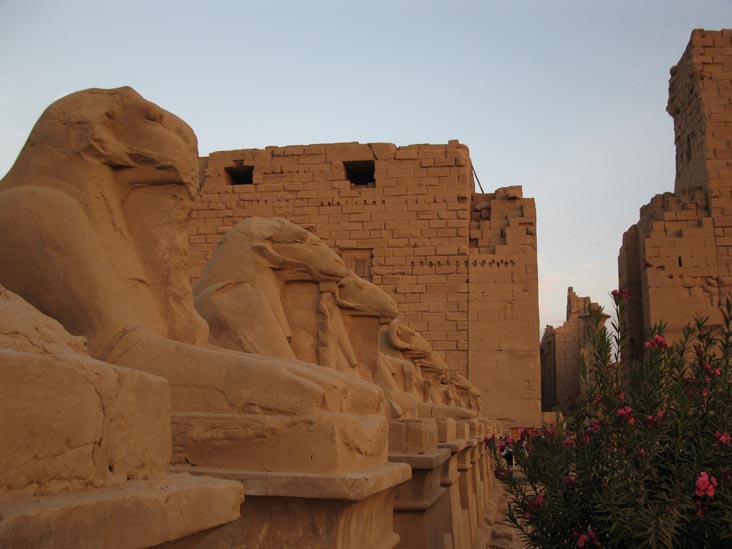 Sphinxes and First Pylon, Temple of Amun, Karnak Temple Complex, Luxor, Egypt