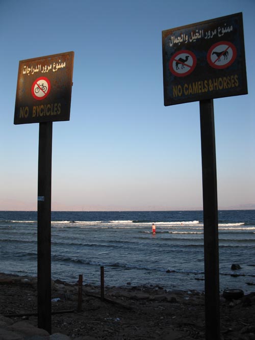 No Bicycles/No Camels & Horses Signs, Mashraba Waterfront Promenade, Dahab, Sinai, Egypt