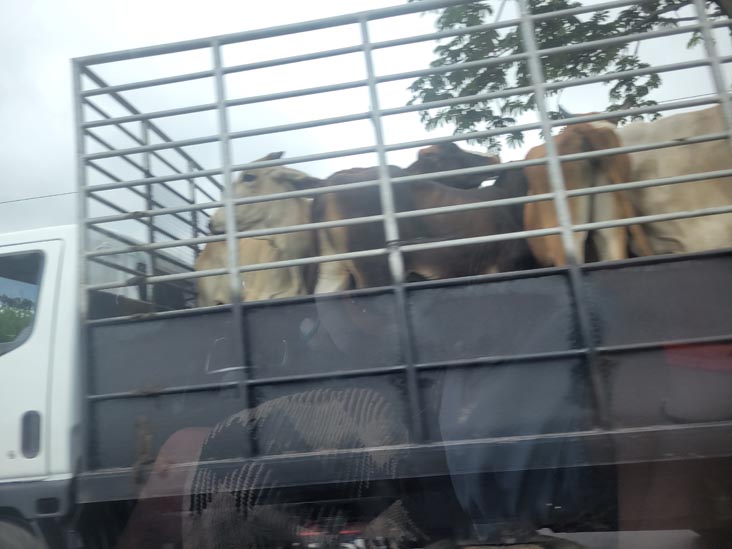 CA-8, El Salvador, August 8, 2024