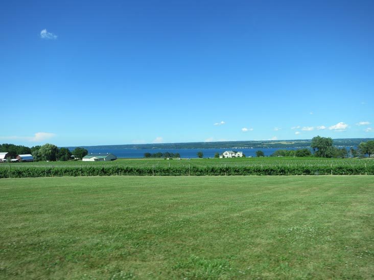 Thirsty Owl Wine Company, 6861 New York State Route 89, Ovid, New York