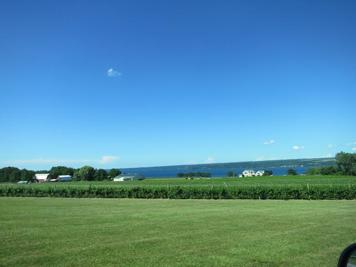 Thirsty Owl Wine Company, 6861 New York State Route 89, Ovid, New York