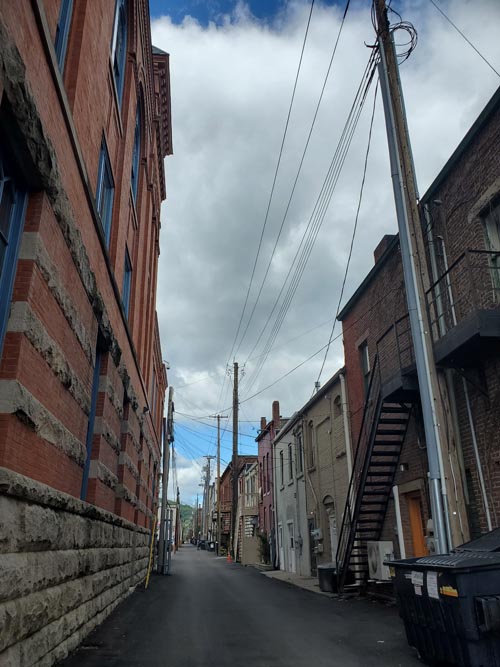 Burmese Lane, Corning, New York, August 30, 2020
