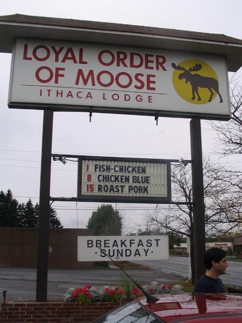 Loyal Order of Moose, Ithaca Lodge, 367 Elmira Road, Ithaca, New York