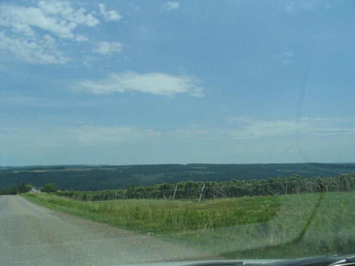 Country Route 76, Hammondsport, New York