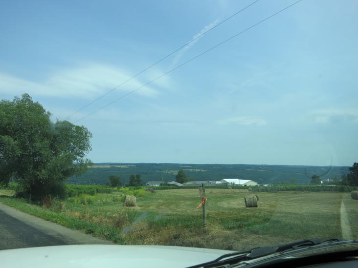 Dr. Konstantin Frank Vinifera Wine Cellars, 9749 Middle Road, Hammondsport, New York, July 3, 2012