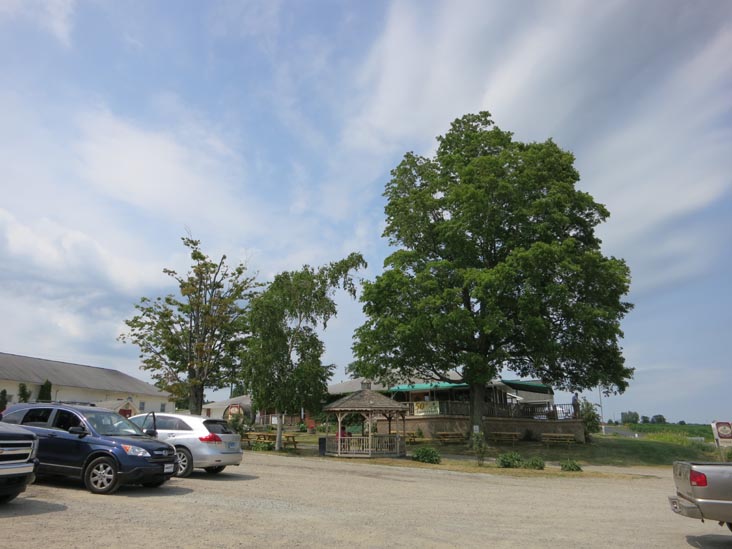 Dr. Konstantin Frank Vinifera Wine Cellars, 9749 Middle Road, Hammondsport, New York, July 3, 2012