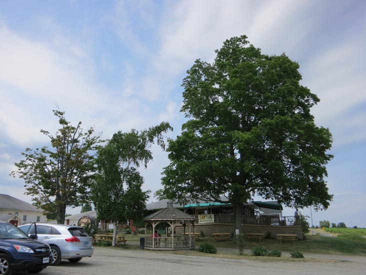 Dr. Konstantin Frank Vinifera Wine Cellars, 9749 Middle Road, Hammondsport, New York, July 3, 2012