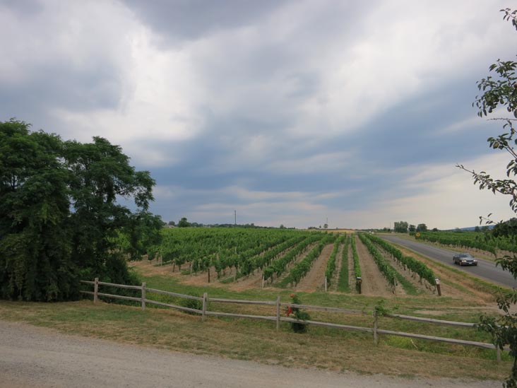 Dr. Konstantin Frank Vinifera Wine Cellars, 9749 Middle Road, Hammondsport, New York, July 3, 2012