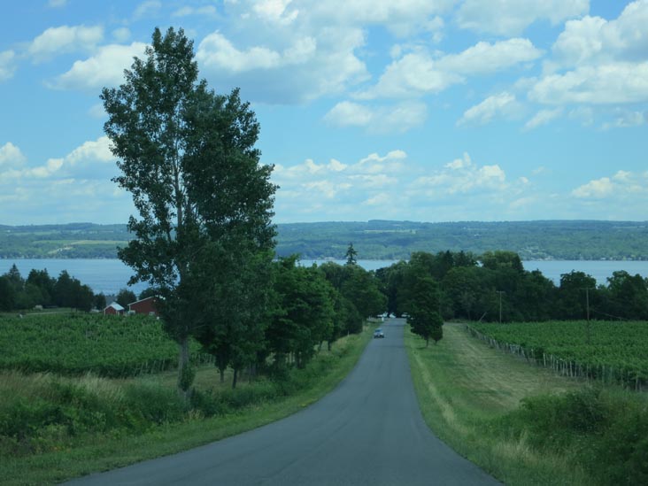 Miles Wine Cellars, 168 Randall Crossing Road, Himrod, New York, July 2, 2012