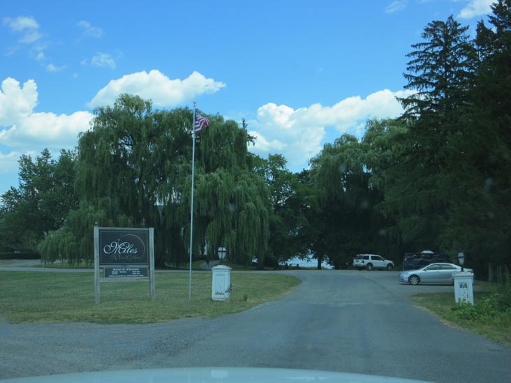 Miles Wine Cellars, 168 Randall Crossing Road, Himrod, New York, July 2, 2012