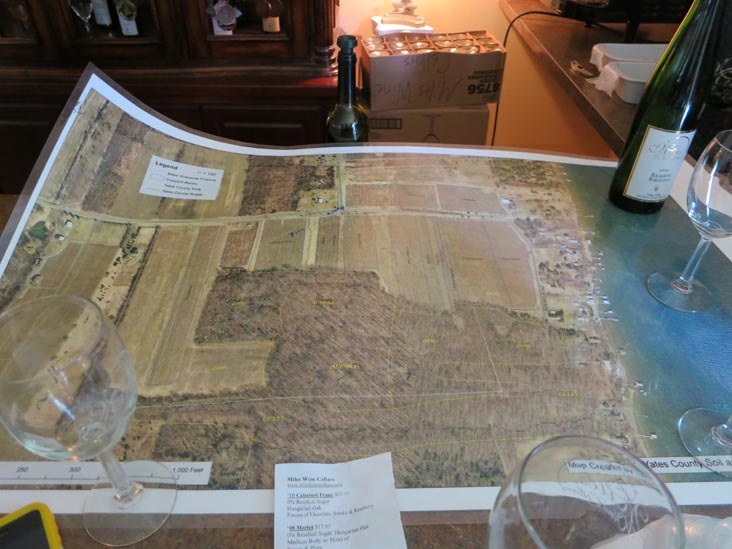 Miles Wine Cellars, 168 Randall Crossing Road, Himrod, New York, July 2, 2012