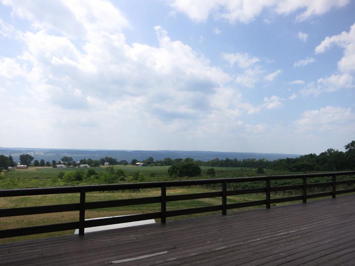 Red Newt Cellars, 3675 Tichenor Road, Hector, New York