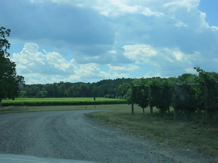 Red Tail Ridge Winery, 846 State Route 14, Penn Yan, New York