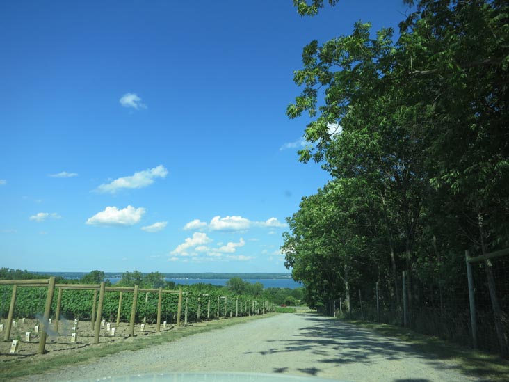 Red Tail Ridge Winery, 846 State Route 14, Penn Yan, New York