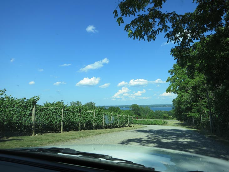 Red Tail Ridge Winery, 846 State Route 14, Penn Yan, New York