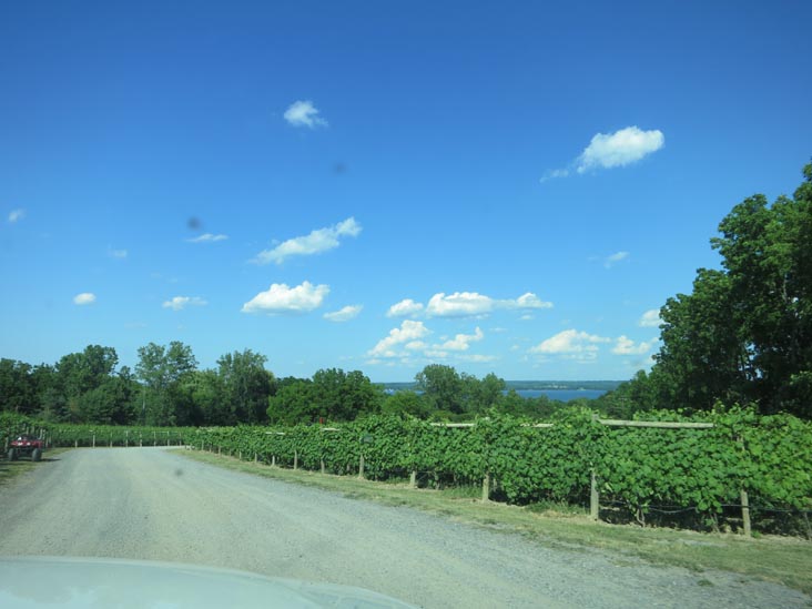 Red Tail Ridge Winery, 846 State Route 14, Penn Yan, New York