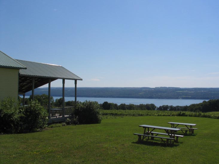 Seneca Lake From Standing Stone Vineyards, 9934 Route 414, Hector, New York, July 16, 2006