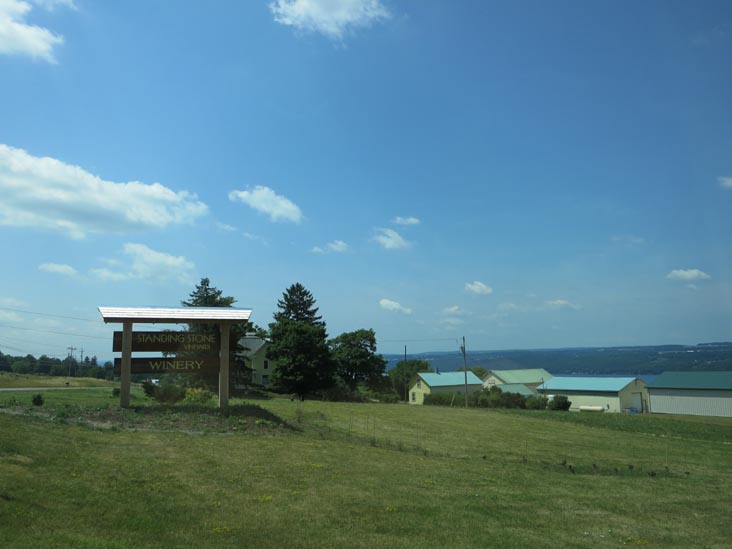 Standing Stone Vineyards, 9934 Route 414, Hector, New York, July 4, 2012