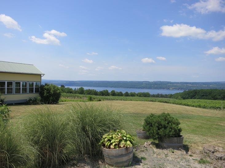 Standing Stone Vineyards, 9934 Route 414, Hector, New York, July 4, 2012