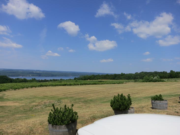 Standing Stone Vineyards, 9934 Route 414, Hector, New York, July 4, 2012