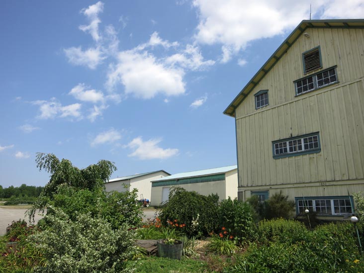 Standing Stone Vineyards, 9934 Route 414, Hector, New York, July 4, 2012