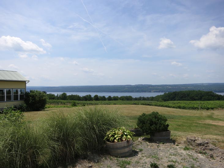Standing Stone Vineyards, 9934 Route 414, Hector, New York, July 4, 2012