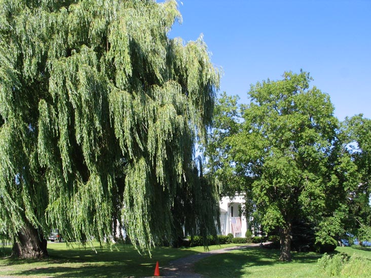 Miles Wine Cellars, 168 Randall Crossing Road, Himrod, New York, July 15, 2006