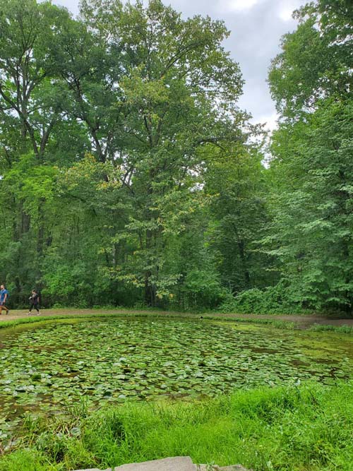 Lily Pond, Watkins Glen State Park, Watkins Glen, New York, August 28, 2020