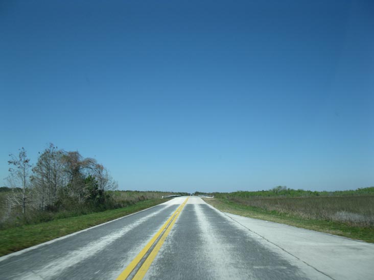 Main Park Road, Everglades National Park, Florida
