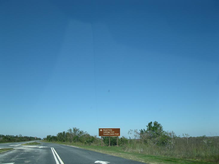 Royal Palm Turnoff, Main Park Road, Everglades National Park, Florida