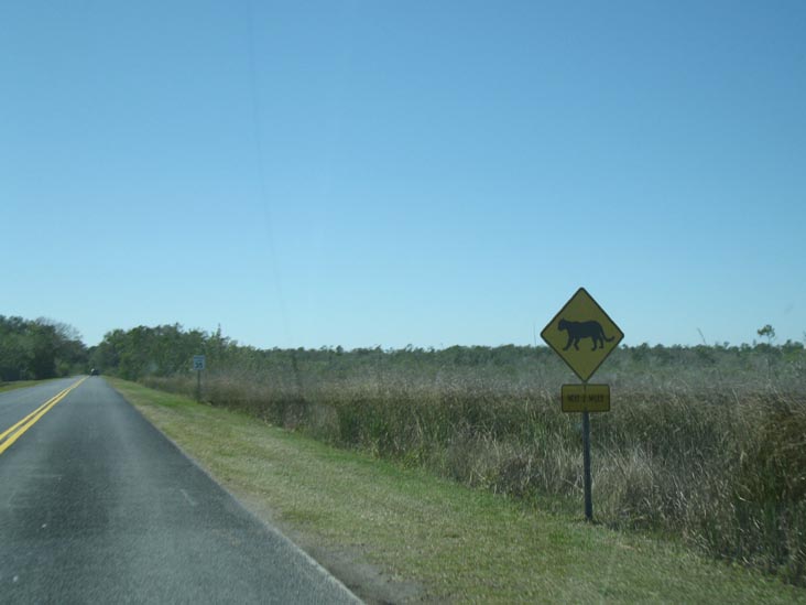 Panther Warning, Royal Palm Road Turnoff, Everglades National Park, Florida