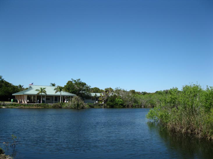 Anhinga Trail, Royal Palm, Everglades National Park, Florida
