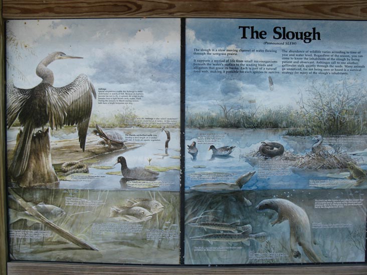 Slough Interpretive Sign, Anhinga Trail, Royal Palm, Everglades National Park, Florida