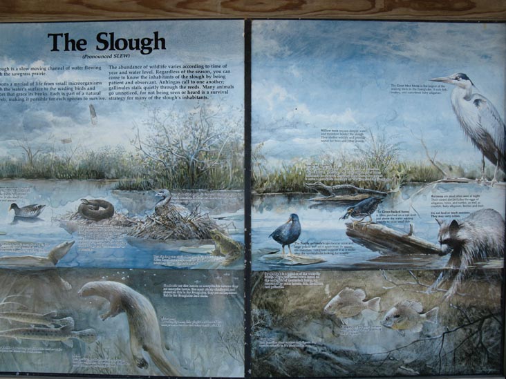 Slough Interpretive Sign, Anhinga Trail, Royal Palm, Everglades National Park, Florida