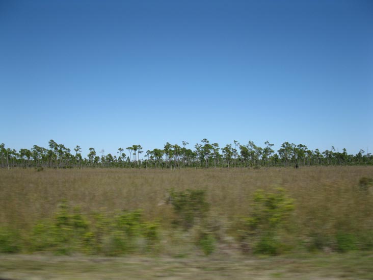 Main Park Road, Everglades National Park, Florida