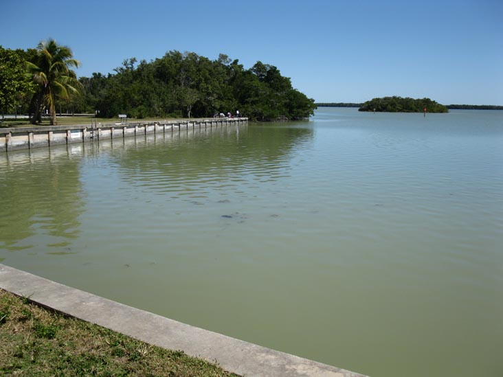 View Toward Florida Bay From Flamingo Visitor Center, Everglades National Park, Florida