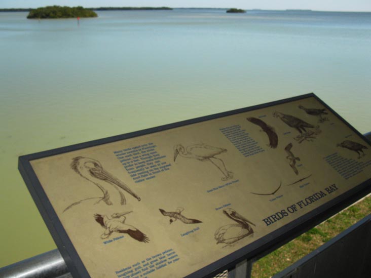 Birds Of Florida Bay Interpretive Sign, Flamingo Visitor Center, Everglades National Park, Florida